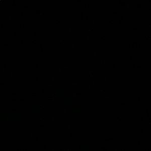 Meet your Posher, Lily